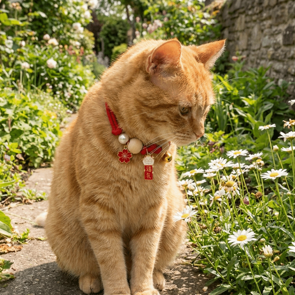 Fashion Adjustable Cat Flea Co - Ethnic Fashion Designers 评论和价格