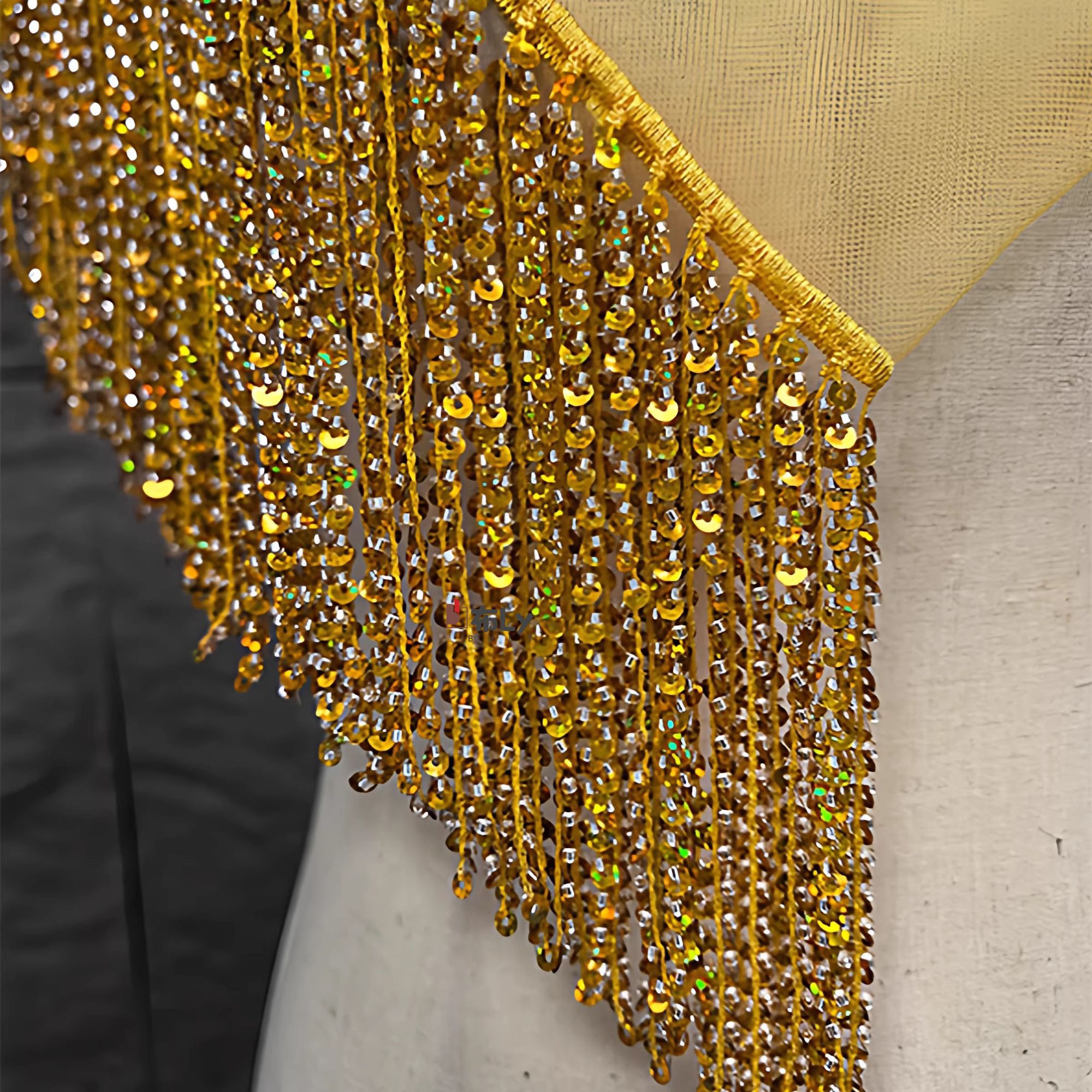 15cm Beaded Sequin Tassel Frin - Ethnic Fashion Designers 评论和价格
